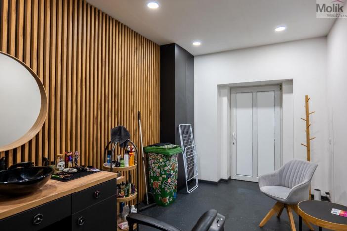 Prodej rodinného domu, Litvínov - Horní Litvínov, Smetanova, 359 m2