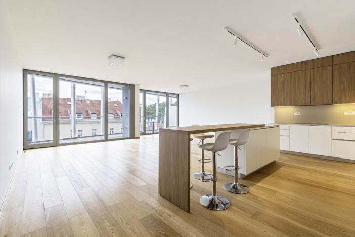Pronájem bytu 4+kk, Praha - Smíchov, Holečkova, 196 m2