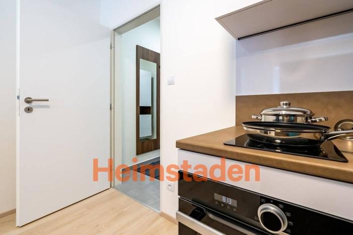 Pronájem bytu 1+kk, Plzeň - Jižní Předměstí, Magisterská, 30 m2