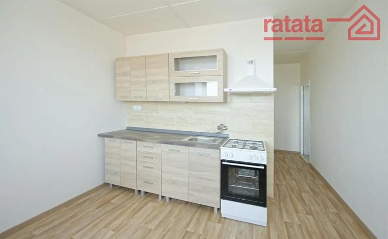 Pronájem bytu 2+1, Jirkov, Mládežnická, 61 m2