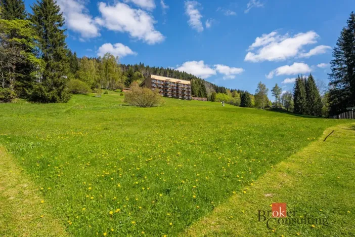 Prodej ubytování, Malá Úpa - Dolní Malá Úpa, 528 m2