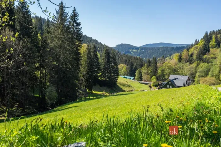 Prodej ubytování, Malá Úpa - Dolní Malá Úpa, 528 m2