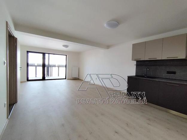 Pronájem atypického bytu, České Budějovice, Fráni Šrámka, 65 m2