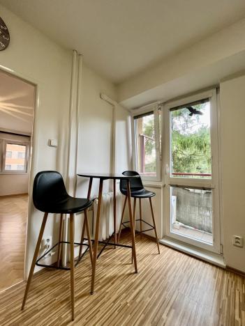 Pronájem bytu 2+1, Ostrava - Moravská Ostrava, Petra Křičky, 51 m2