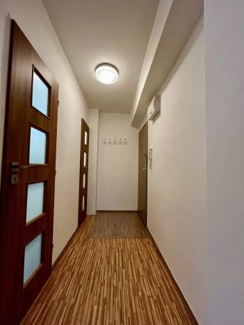 Pronájem bytu 2+1, Ostrava - Moravská Ostrava, Petra Křičky, 51 m2