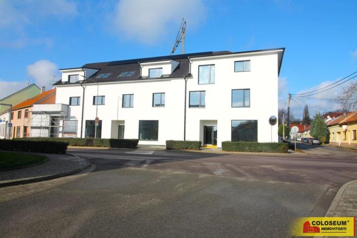 Prodej bytu 3+kk, Hrušovany nad Jevišovkou, 77 m2