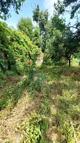 Prodej bytu 2+kk, Brno, Slovinská, 64 m2