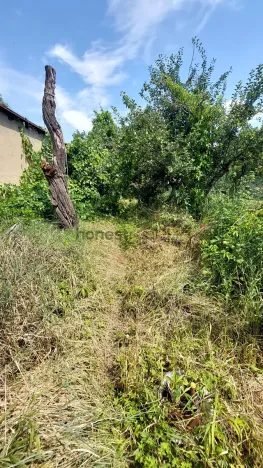 Prodej bytu 2+kk, Brno, Slovinská, 64 m2