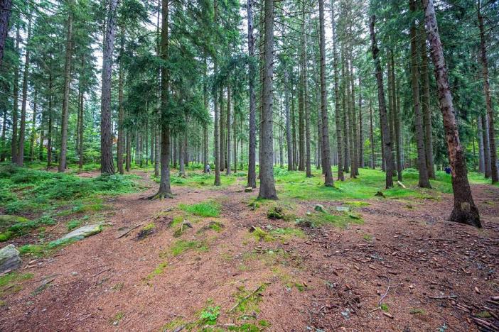 Prodej bytu 1+1, Harrachov, 34 m2