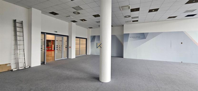 Pronájem obchodního prostoru, Praha - Ruzyně, Aviatická, 253 m2