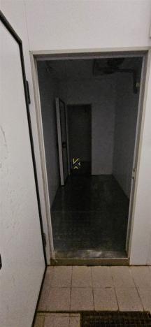 Pronájem obchodního prostoru, Praha - Ruzyně, Aviatická, 619 m2