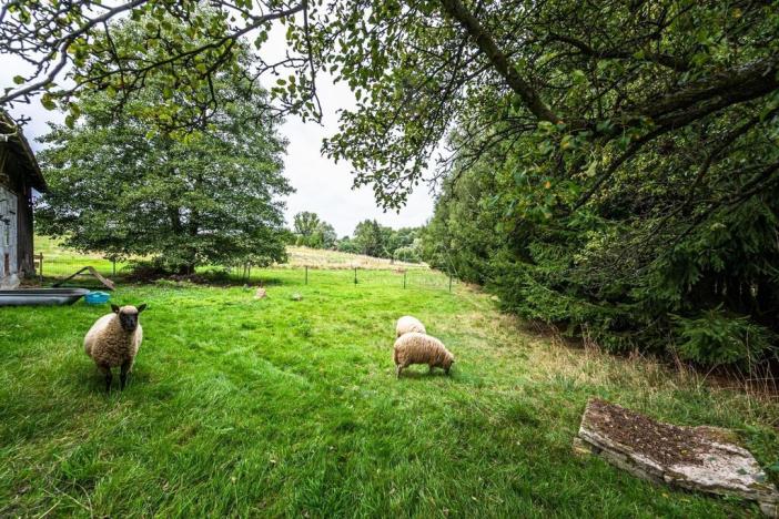 Prodej rodinného domu, Samšina - Drštěkryje, 121 m2
