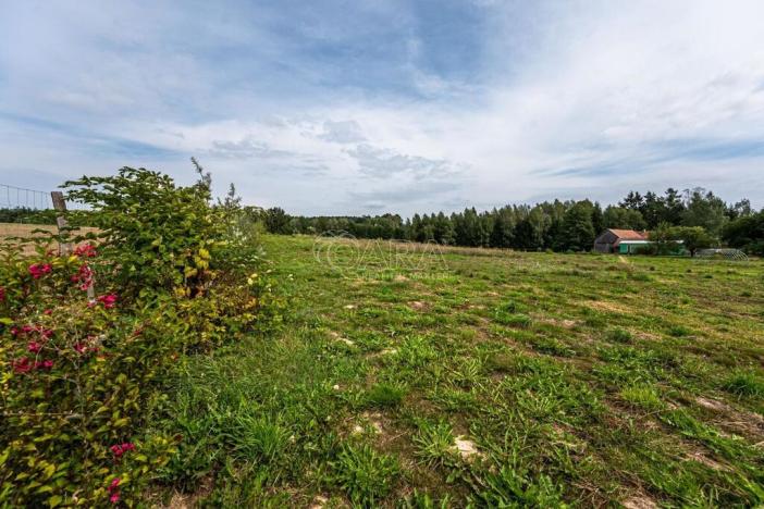 Prodej rodinného domu, Samšina - Drštěkryje, 121 m2