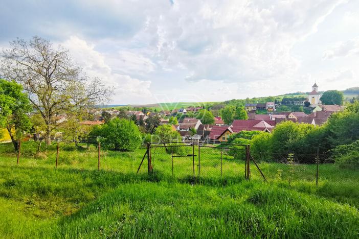 Prodej pozemku pro bydlení, Letonice, 1339 m2