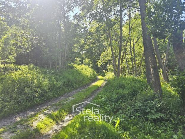 Prodej pozemku pro bydlení, Dolní Moravice - Nová Ves, 626 m2