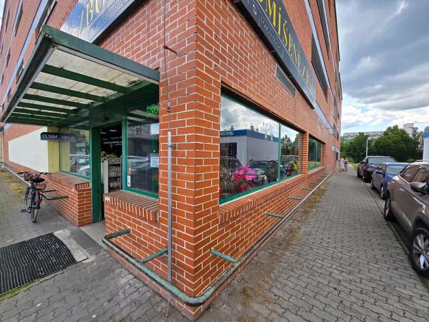 Prodej obchodního prostoru, České Budějovice, Větrná, 623 m2