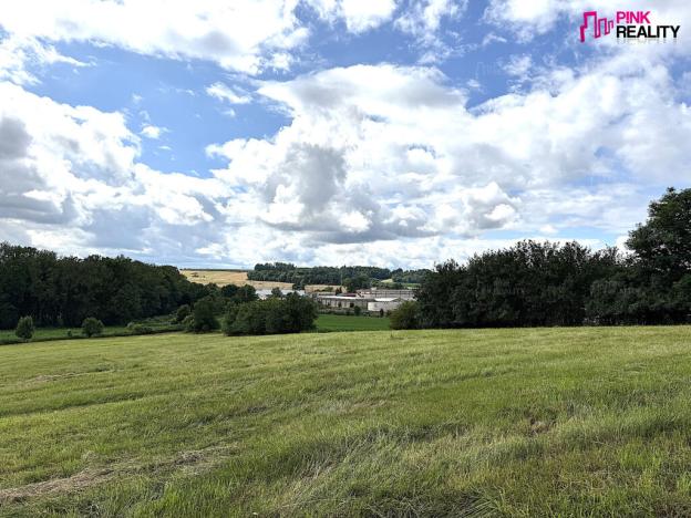 Prodej louky, Rychnov nad Kněžnou, 16663 m2
