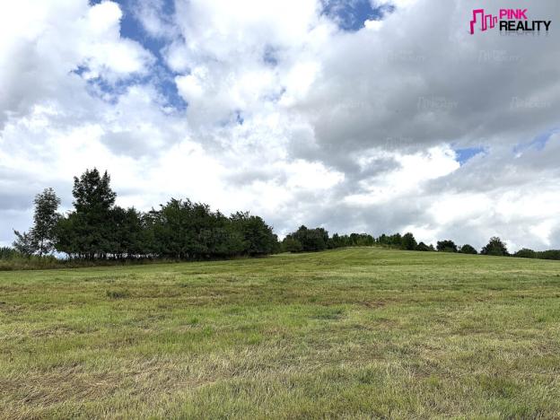 Prodej louky, Rychnov nad Kněžnou, 16663 m2