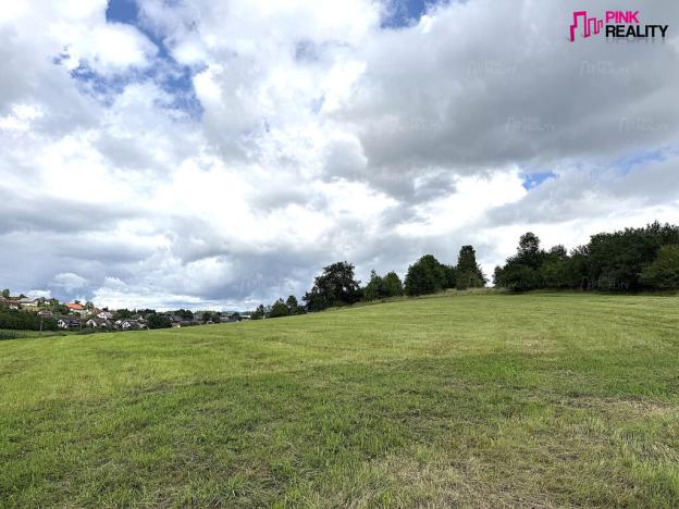 Prodej louky, Rychnov nad Kněžnou, 16663 m2