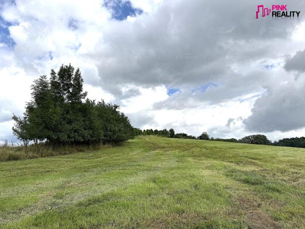 Prodej louky, Rychnov nad Kněžnou, 16663 m2