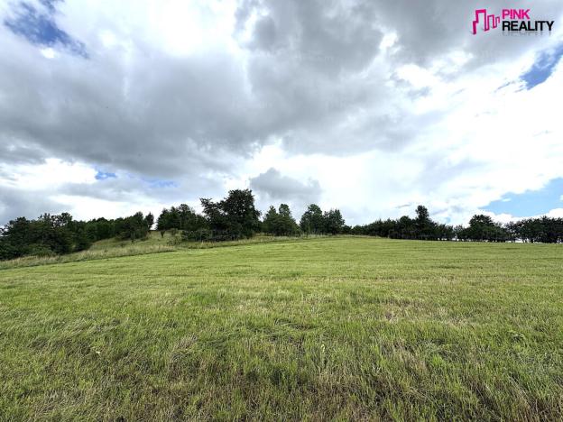 Prodej louky, Rychnov nad Kněžnou, 16663 m2