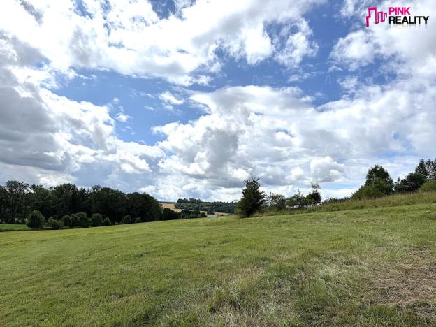 Prodej louky, Rychnov nad Kněžnou, 16663 m2