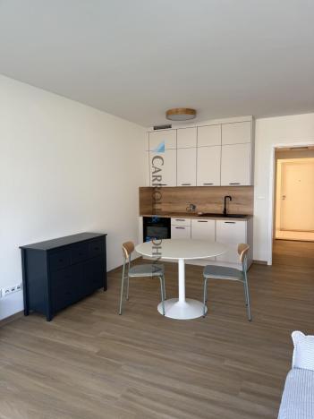 Pronájem bytu 1+kk, Ostrava - Slezská Ostrava, U Hájenky, 34 m2