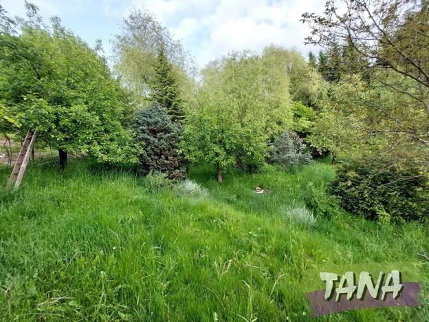 Prodej rodinného domu, Vysoké nad Jizerou, Staroveská, 160 m2