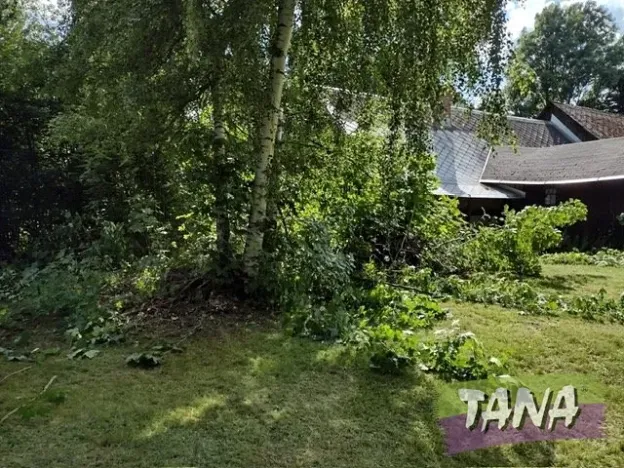 Prodej chalupy, Roprachtice, 50 m2