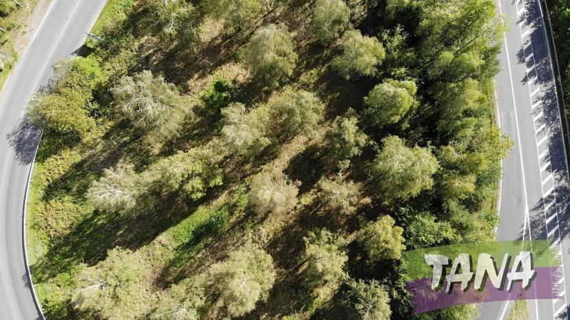 Prodej komerčního pozemku, Mnichovo Hradiště, 7495 m2