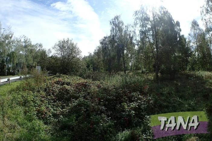 Prodej komerčního pozemku, Mnichovo Hradiště, 7495 m2