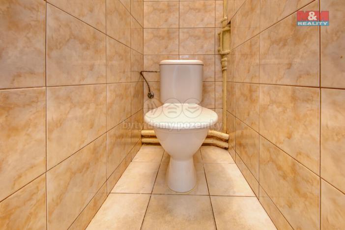 Pronájem obchodního prostoru, Plzeň - Východní Předměstí, Francouzská třída, 470 m2