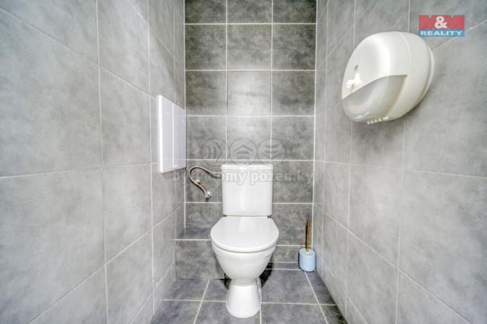 Pronájem obchodního prostoru, Plzeň - Bolevec, Sokolovská, 310 m2