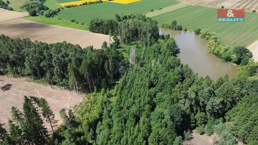 Prodej lesa, Opařany - Olší, 5323 m2