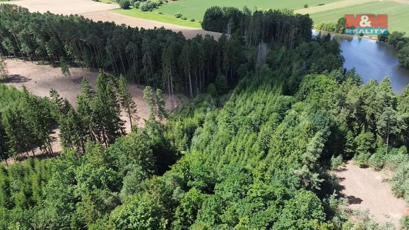 Prodej lesa, Opařany - Olší, 5323 m2