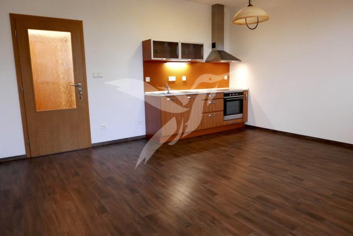 Pronájem bytu 1+kk, Plzeň, Goldscheiderova, 36 m2