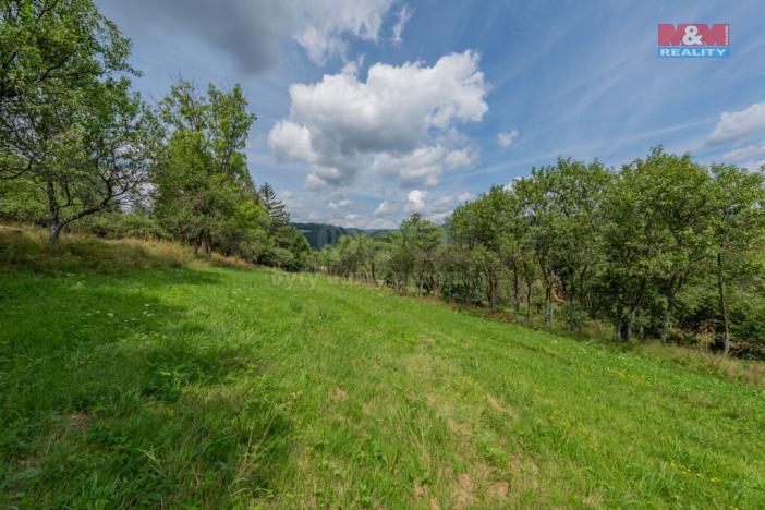 Prodej louky, Halenkov, 1784 m2