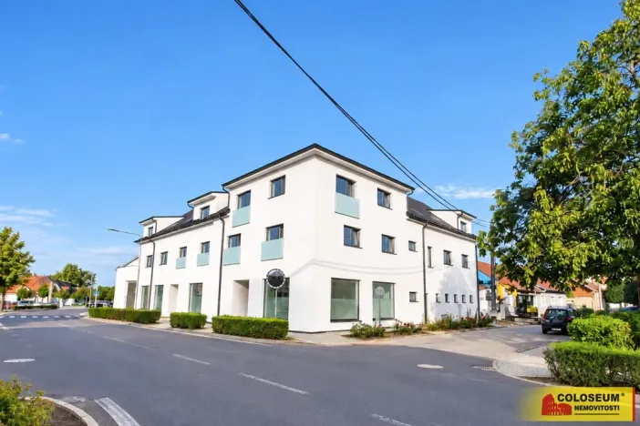 Prodej bytu 3+kk, Hrušovany nad Jevišovkou, 95 m2