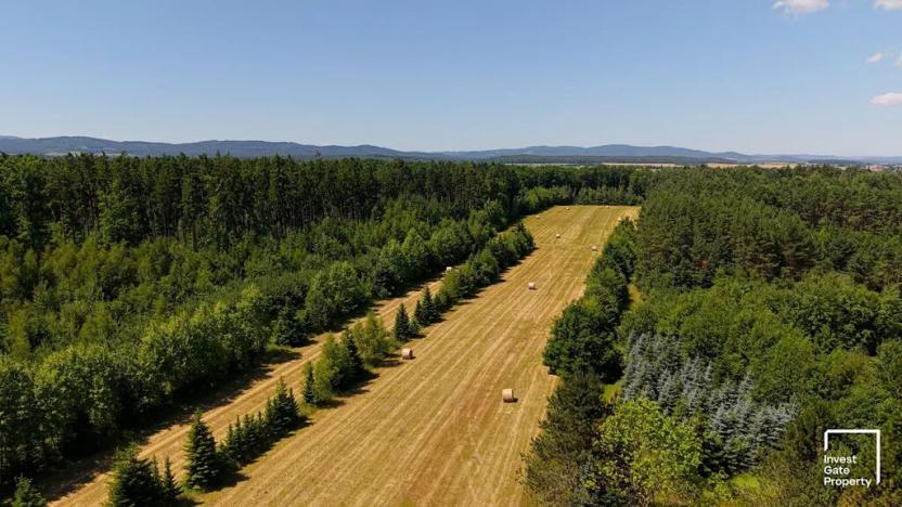 Prodej komerčního pozemku, Čejkovice, 121779 m2