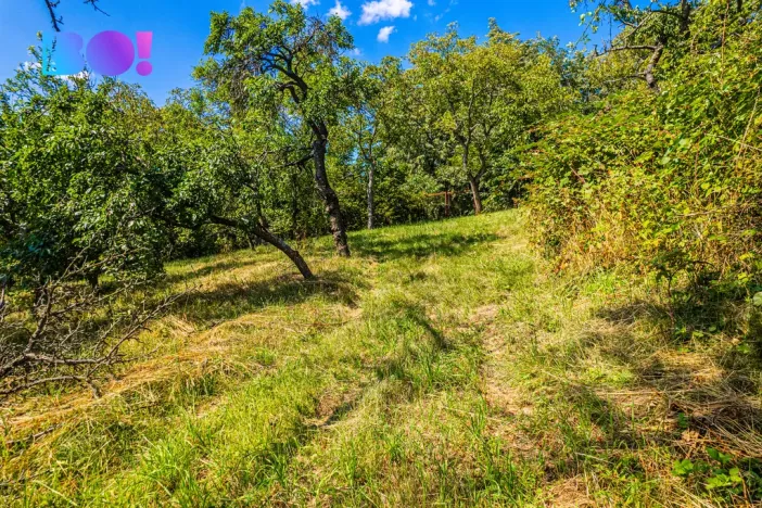 Prodej zahrady, Samotišky, 2632 m2