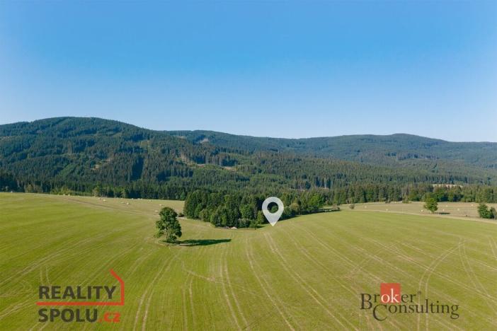 Prodej pozemku pro bydlení, Říčky v Orlických horách, 1400 m2