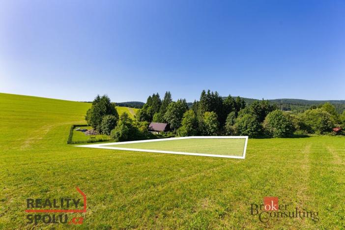 Prodej pozemku pro bydlení, Říčky v Orlických horách, 1400 m2