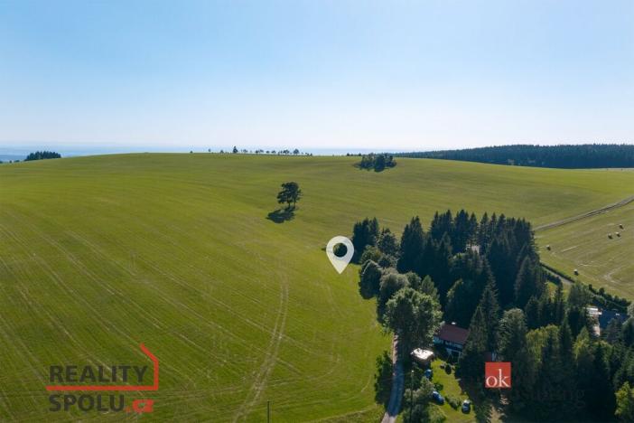 Prodej pozemku pro bydlení, Říčky v Orlických horách, 1400 m2