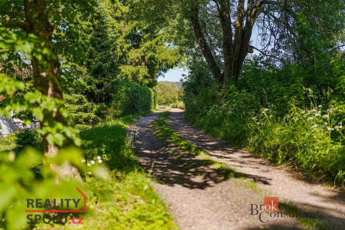 Prodej pozemku pro bydlení, Říčky v Orlických horách, 1400 m2