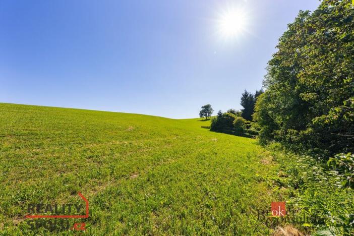 Prodej pozemku pro bydlení, Říčky v Orlických horách, 1400 m2