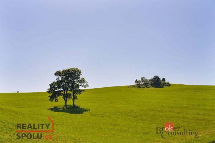 Prodej pozemku pro bydlení, Říčky v Orlických horách, 1400 m2