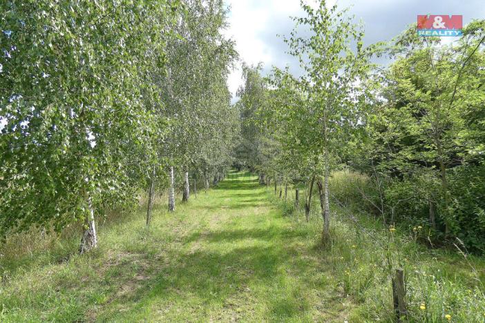 Prodej pozemku pro bydlení, Podhořany u Ronova, 3955 m2