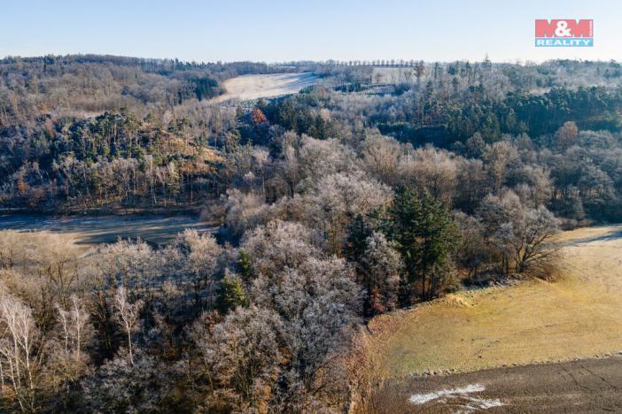 Prodej lesa, Horšovský Týn, 685 m2