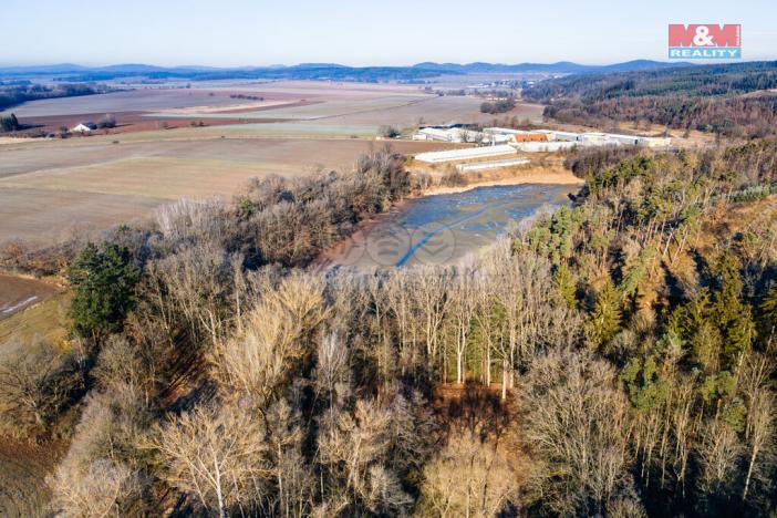 Prodej lesa, Horšovský Týn, 685 m2