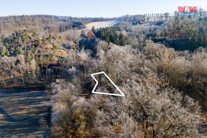 Prodej lesa, Horšovský Týn, 685 m2